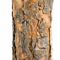 Brad de Craciun artificial cu trunchi de lemn, Diamond Pin 220 cm, suport inclus