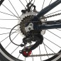 Bicicleta pliabila, roti 20 inch, cadru otel, 7 viteze Shimano, frane pe disc, Phoenix Lincoln Bicicleta pliabila, roti 20 inch, cadru otel, 7 viteze Shimano, frane pe disc, Phoenix Lincoln
