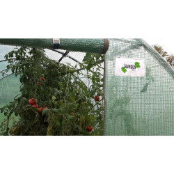 Sera 4x2.5x2 m, solar tip tunel, pentru gradina, folie cu protectie UV4, ferestre, verde