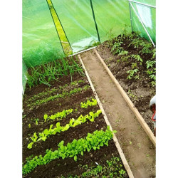Solar, tip tunel, 3.5x2x2 m, folie PE 140g/mp, ferestre laterale, usa, cadru metal