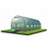 Sera, tip tunel, 8x3x2m, solar ferestre cu plasa anti-insecte, cadru metal, filtru UV4