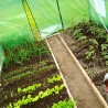 Sera solar, tip tunel, 3x2x2 m, folie PE 140g/mp, filtru UV4, cadru metal, usa rulanta