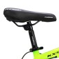 Bicicleta MTB, roti 24 inch, 21 viteze, schimbator Shimano, frane pe disc, verde, Phoenix