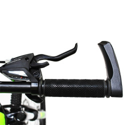 Bicicleta MTB, roti 24 inch, 21 viteze, schimbator Shimano, frane pe disc, verde, Phoenix