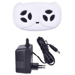 Masina electrica copii, Mercedes-Benz AMG, bluetooth, 2 motoare, rosie