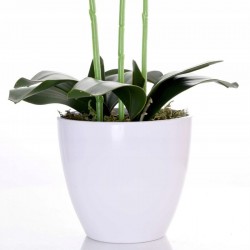 Orhidee artificiala decorativa roz, 24 flori si boboci, ghiveci, inaltime 65 cm