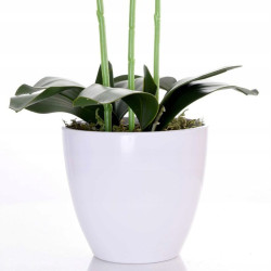 Orhidee artificiala decorativa roz, 24 flori si boboci, ghiveci, inaltime 65 cm