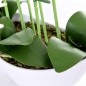Orhidee artificiala decorativa, 24 flori alb si roz, 65 cm, ghiveci Orhidee artificiala decorativa, 24 flori alb si roz, 65 cm, ghiveci