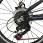 Bicicleta pliabila, roti 20 inch, cadru otel, 7 viteze Shimano, frane pe disc, Phoenix Lincoln, RESIGILAT