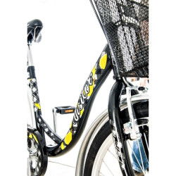 Bicicleta dama, 24 inch, cadru otel, V-Brake, cos frontal, portbagaj, stop, far si claxon