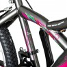 Bicicleta MTB dama, 24 inch, cadru otel, 18 viteze, schimbator Power, V-Brake, Explorer