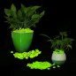 Pietricele fosforescente decorative glow verde deschis, decor exterior si interior