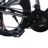 Bicicleta MTB 26 inch, schimbator Shimano 21 viteze, frane pe disc, cadru otel, Tornado