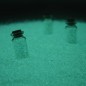 Nisip decorativ albastru care lumineaza aqua