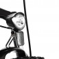 Bicicleta electrica 27.5 inch, 250W, 25 km/h, acceleratie, autonomie asistata, aluminiu, Shimano 7 viteze