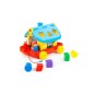 Casuta educativa cu forme geometrice si roti, 28x23x21 cm, multicolor