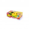 Testoasa pe roti, jucarie educativa cu forme geomatrice, 13x39x25 cm