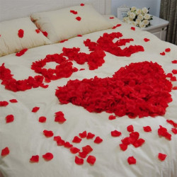 Petale de trandafir pentru decor, diametru 5 cm, pachet 500 bucati