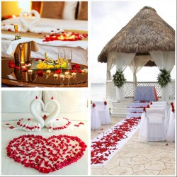 Petale de trandafir pentru decor, diametru 5 cm, pachet 500 bucati