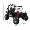 Masinuta electrica Buggy, 4x4, roti spuma EVA, bluetooth, 2 locuri