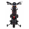 Motocicleta electrica Aprilia, 2x12V / 25W,roti EVA, amortizor spate, 2 viteze, MP3, SD, AUX, USB, roti aditionale