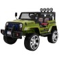 Masinuta electrica Jeep Raptor Drifter 4x4, roti spuma EVA, 4 motoare, 2 locuri, Bluetooth, verde Masinuta electrica Jeep Raptor Drifter 4x4, roti spuma EVA, 4 motoare, 2 locuri, Bluetooth, verde