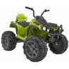 ATV Quad electric copii, roti EVA, 2 motoare, verde