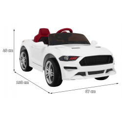 Masinuta electrica sport, 25W, 6V/4,5Ah, roti plastic, angrenaj fata spate, greutate suportata 25 kg