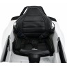 Masinuta electrica Ford Mustang GT, sport, 12V, lumini LED, MP3, radio FM, USB, AUX, buton pornire, 125x74x54cm