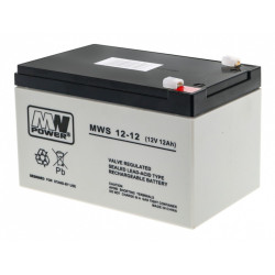 Baterie masinuta electrica, tensiune 12V, capacitate 9AH
