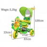 Tricicleta copii 2 in 1, functie balansoar, protectie soare, efecte sonore, Rata verde