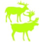 Sticker fosforescent luminos model Cerbi Sticker fosforescent luminos model Cerbi