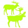 Sticker fosforescent luminos model Cerbi