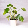 Suport pentru plante, din bambus, tip scarita, 4 nivele, inaltime 45 cm