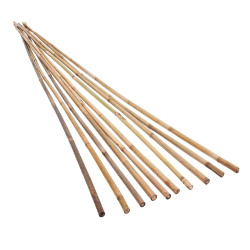 Arac din bambus pentru suport plante si legume, diametrul 14-16 mm, inaltime 120 cm