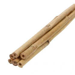 Arac din bambus pentru suport plante si legume, diametrul 14-16 mm, inaltime 120 cm