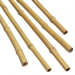 Arac din bambus pentru suport plante si legume, diametrul 14-16 mm, inaltime 120 cm
