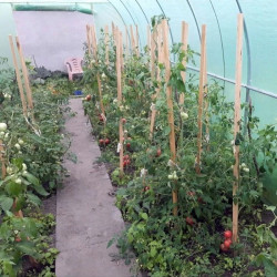 Folie protectie pentru solar 4x2.5x2 m, 8 ferestre cu plase anti-insecte, PE 140g/mp, verde