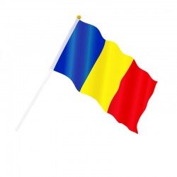 Steag Romania, dimensiune 40 x 60 cm, suport din plastic