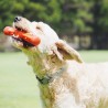Jucarie interactiva catei, stimulare mentala, 3 piese distribuitoare de recompense, talie medie 8-20 kg