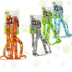 Set lesa si ham, pentru caini, imprimeu colorat, clema metalica, curea 2 cm