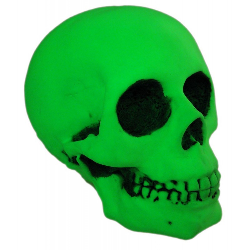 Craniu fosforescent glow in the dark