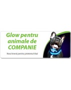 Zgarzi si Lese Luminoase cu LED - Accesorii pentru caini