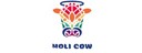 Holi Cow Holi Cow